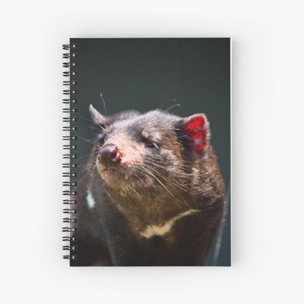 Item preview, Enigmatic Tassie Devil designed and sold by TimothyArt.