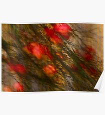 Views: 1426 *** Apple tree Abstract. by Andrzej Goszcz. Poster