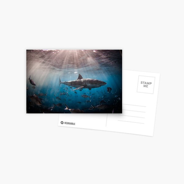 Item preview, Scarface - Great White Shark designed and sold by damnrightmyfoto.
