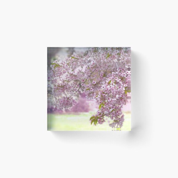 Item preview, Cherry Blossom Bough designed and sold by Alisonchambers2.