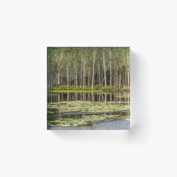 Item preview,  Urunga Wetlands 03 designed and sold by Werner Padarin.