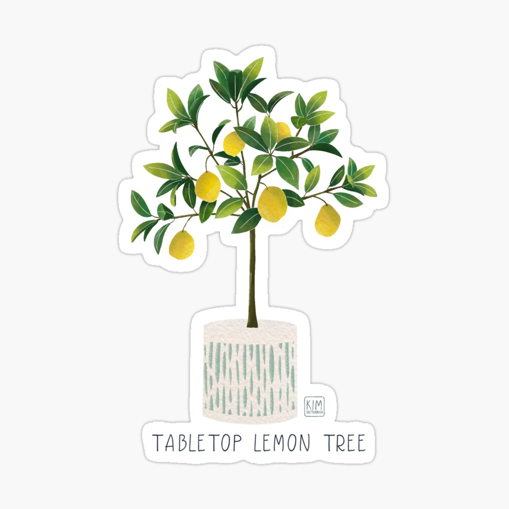 Lemon Citrus Fruit Tree Food & Beverage Graphic Art Gallery Wrapped Canvas  Print Wall Art - Walmart.com
