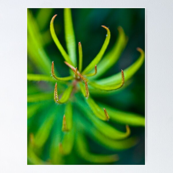 Item preview, Green with ENVY  designed and sold by Nina  Matthews Photography.