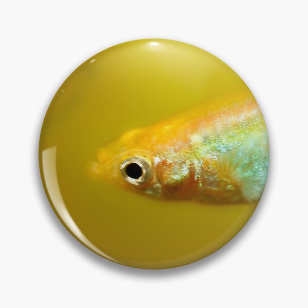 Item preview, Yellow Guppy Fish by heidiannemorris © designed and sold by FOLK ART FUSION by heidiannemorris.