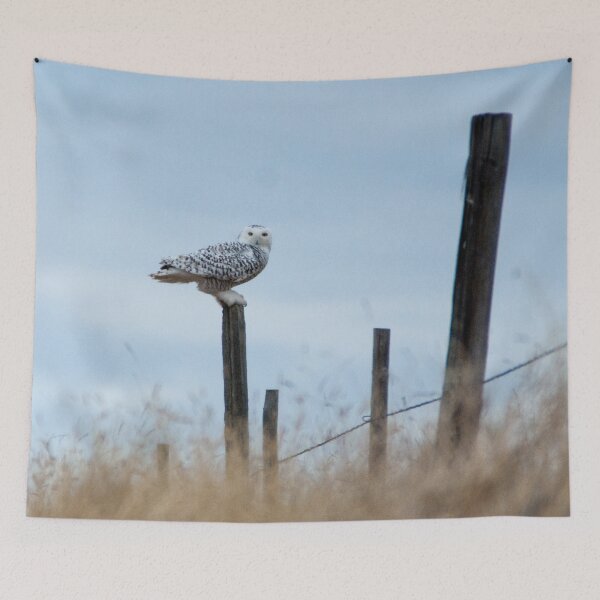 Item preview, Snowy Owl designed and sold by StevenElliot.
