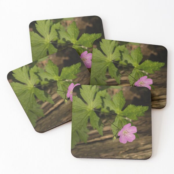 Item preview, Fragrant Forest Floor Treasure - One Wood Geranium Bloom designed and sold by Georgia Mizuleva.