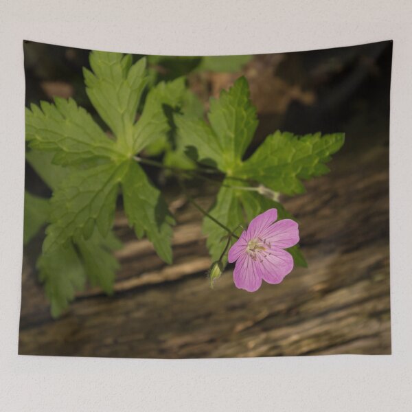 Item preview, Fragrant Forest Floor Treasure - One Wood Geranium Bloom designed and sold by Georgia Mizuleva.