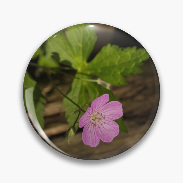 Item preview, Fragrant Forest Floor Treasure - One Wood Geranium Bloom designed and sold by Georgia Mizuleva.