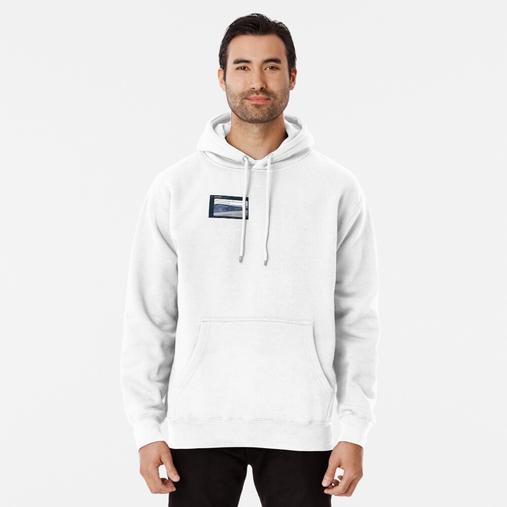 Hollister terry online hoodie