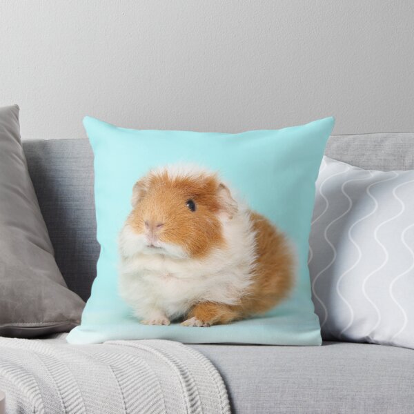 Item preview, cute guinea pig designed and sold by JeanettesPets.