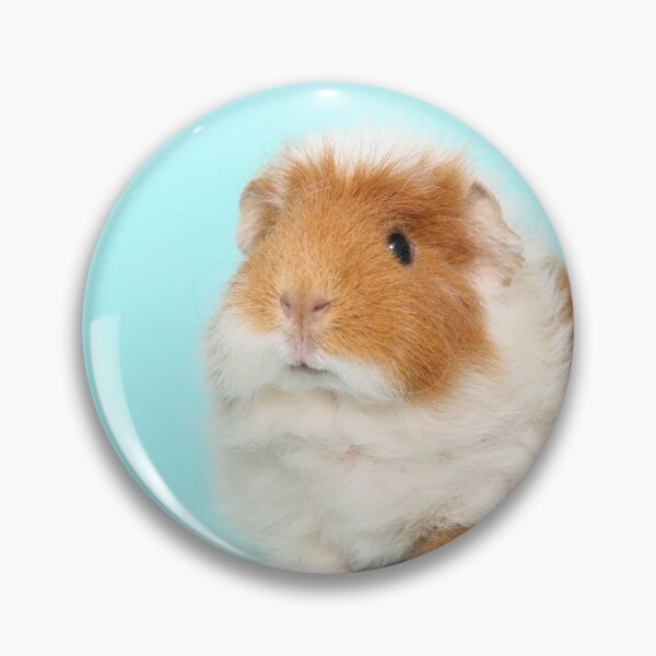Item preview, cute guinea pig designed and sold by JeanettesPets.