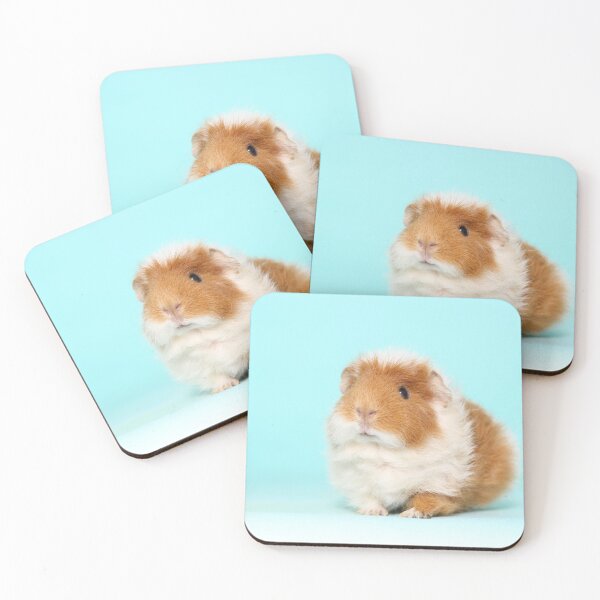 Item preview, cute guinea pig designed and sold by JeanettesPets.