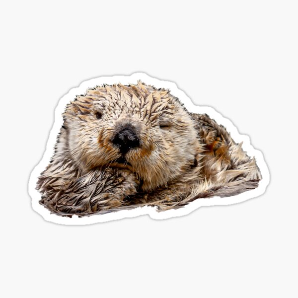 Item preview, Otterlylicious designed and sold by OwlOccasions.