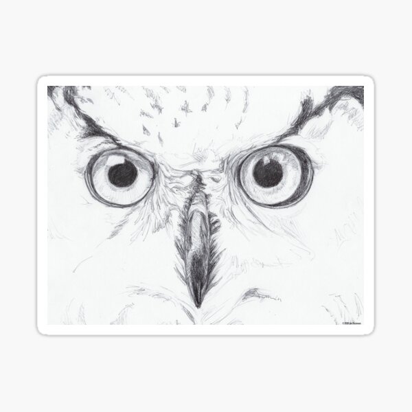 owl sketch Sticker