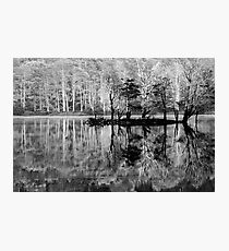 wilmot Photographic Print