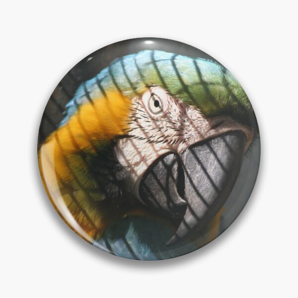 Item preview, Parrot Bird designed and sold by XCEEDTRANSITION.