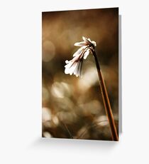 White bell Greeting Card