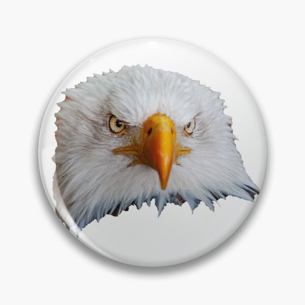 Item preview, Bald Eagle Just Looking! designed and sold by Dalyndigital Photography.