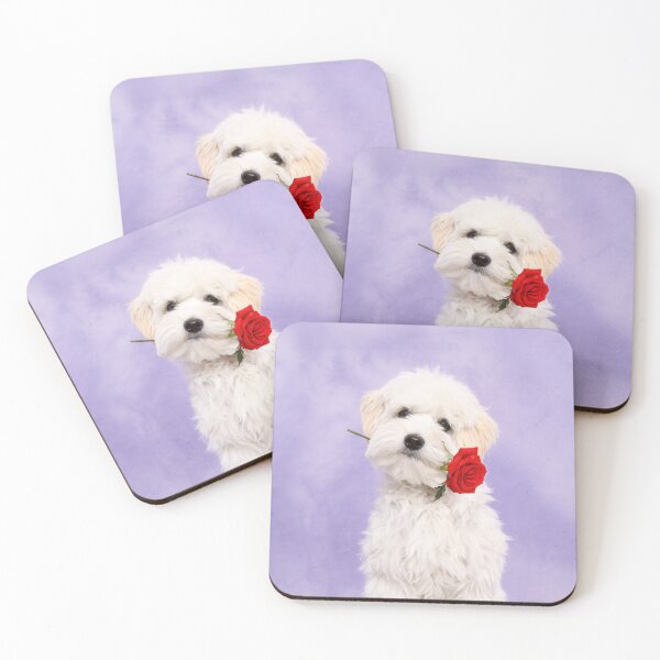 Item preview, Maltipoo puppy designed and sold by JeanettesPets.