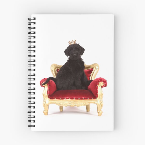 Aperçu de l'œuvre Chiot Schnauzer géant créée et vendue par JeanettesPets.