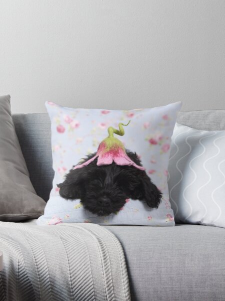 Item preview, sleeping giant schnauzer puppy designed and sold by JeanettesPets.
