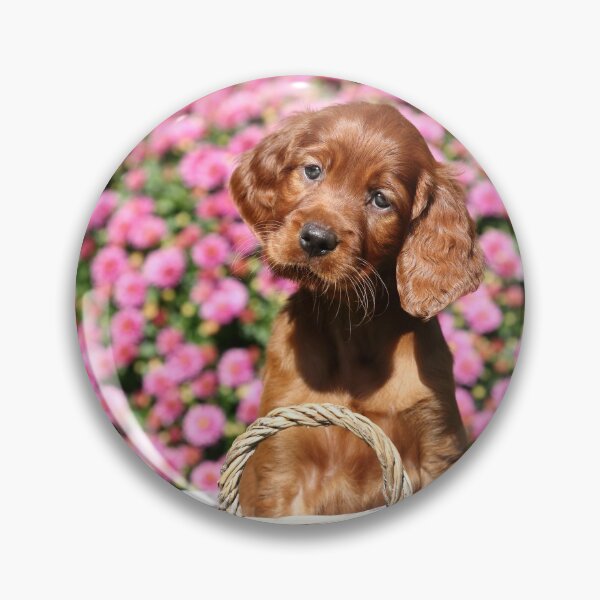 Item preview, Irish setter puppy designed and sold by JeanettesPets.
