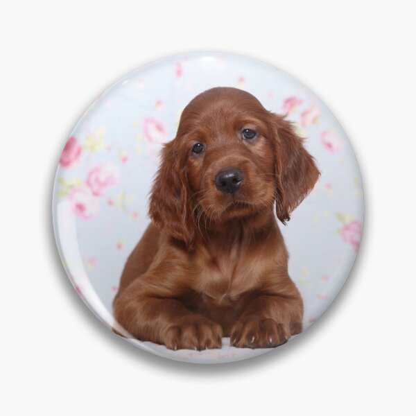 Item preview, Irish setter puppy designed and sold by JeanettesPets.