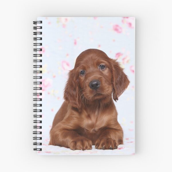 Item preview, Cachorro setter irlandés designed and sold by JeanettesPets.