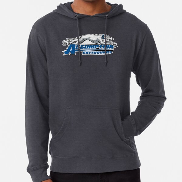 Assumption College Sweatshirts Hoodies for Sale Redbubble