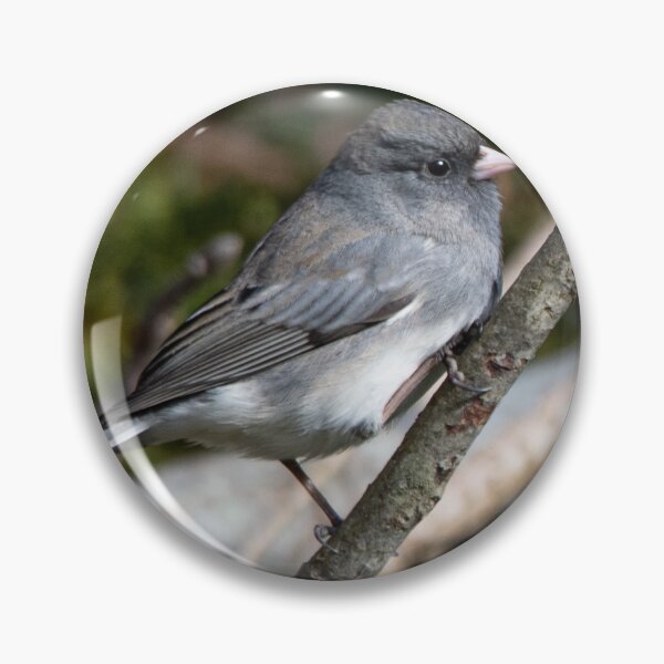Item preview, Dark Eyed Junco perched on a branch  designed and sold by DaveM7054.