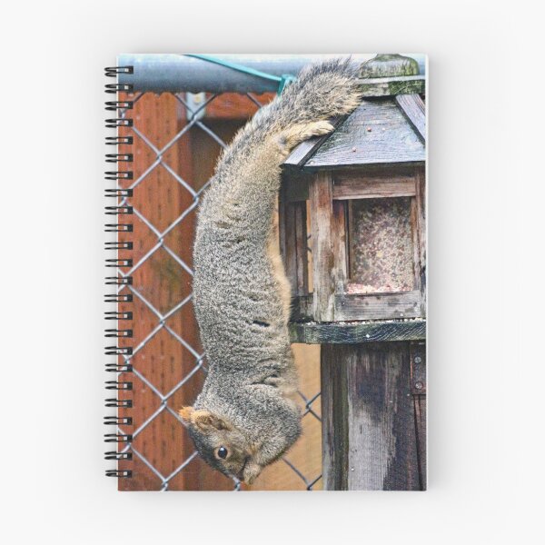 Item preview, Squirrel  designed and sold by Patman61.