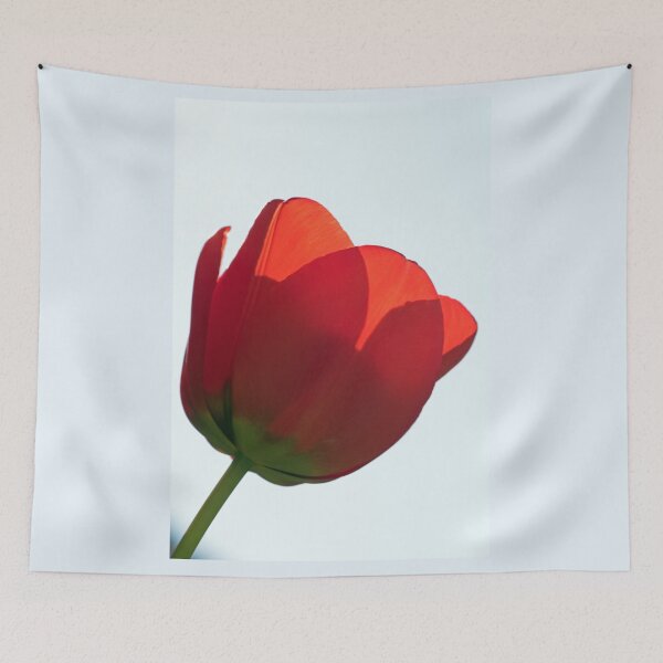 Item preview, Backlit Tulip designed and sold by Chris Monks.