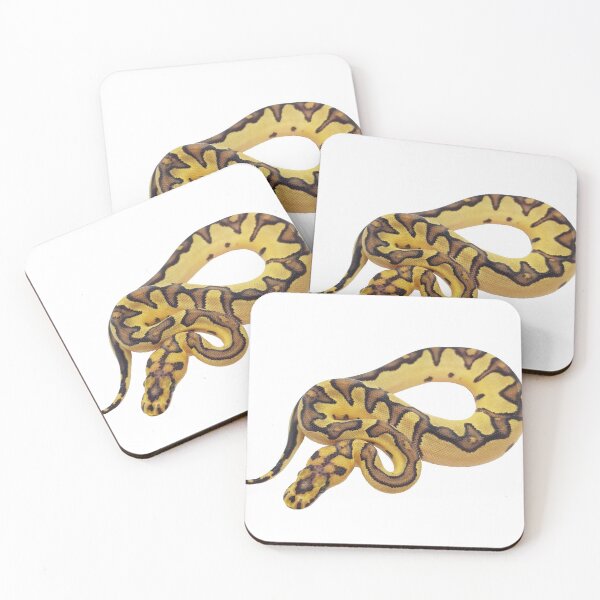 Artikelvorschau, Ball Python Morph Aufkleber - Feuerclown entworfen und verkauft von BDesignerMorphs.