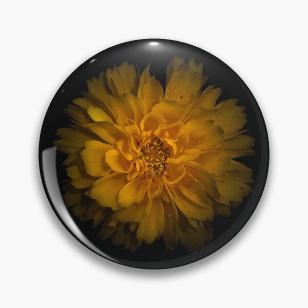 Item preview, Backyard Flowers 79 Color Version designed and sold by The Learning Curve Photography.