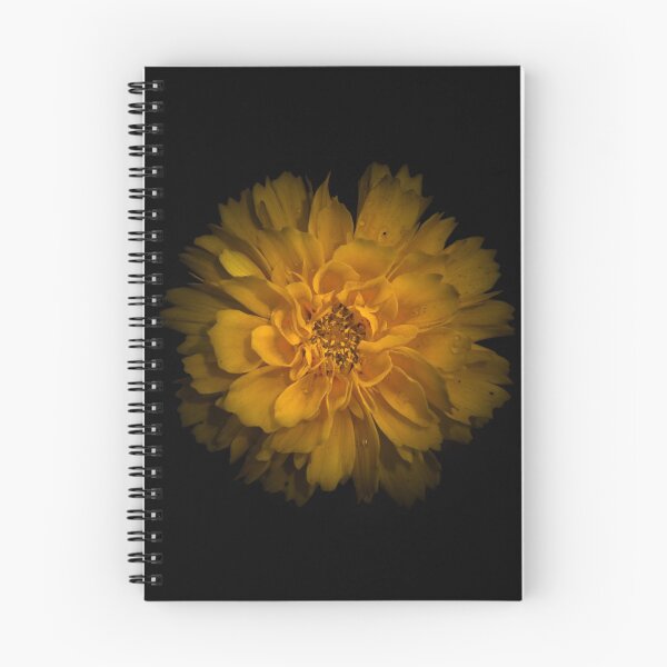 Item preview, Backyard Flowers 79 Color Version designed and sold by The Learning Curve Photography.