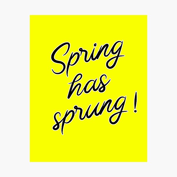 Spring has sprung! Photographic Print