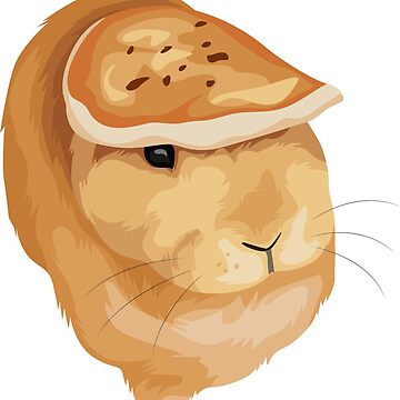 Artwork thumbnail, Pancake on a Rabbit by chonkyanimals