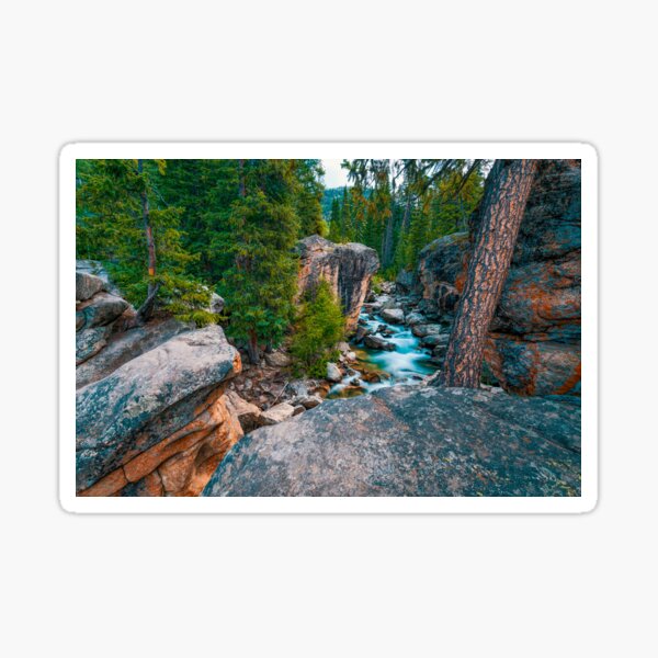 ROARING FORK Sticker