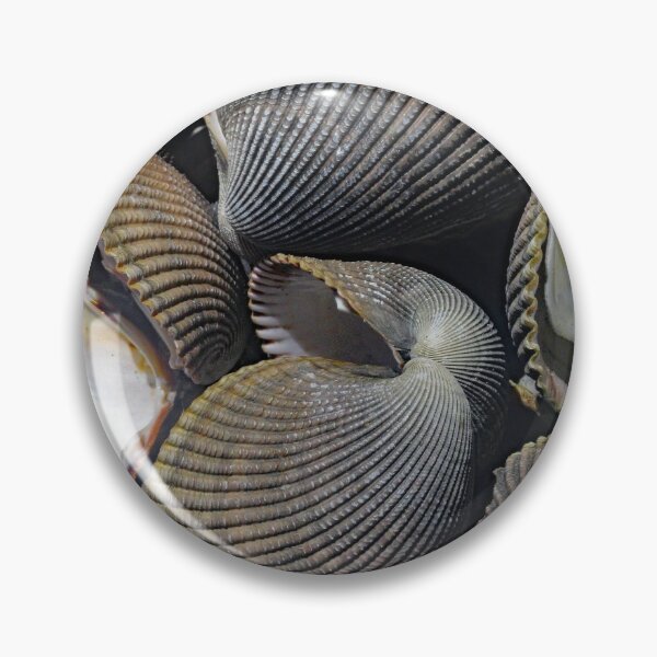 Item preview, Cockle Clam Shells designed and sold by Patman61.