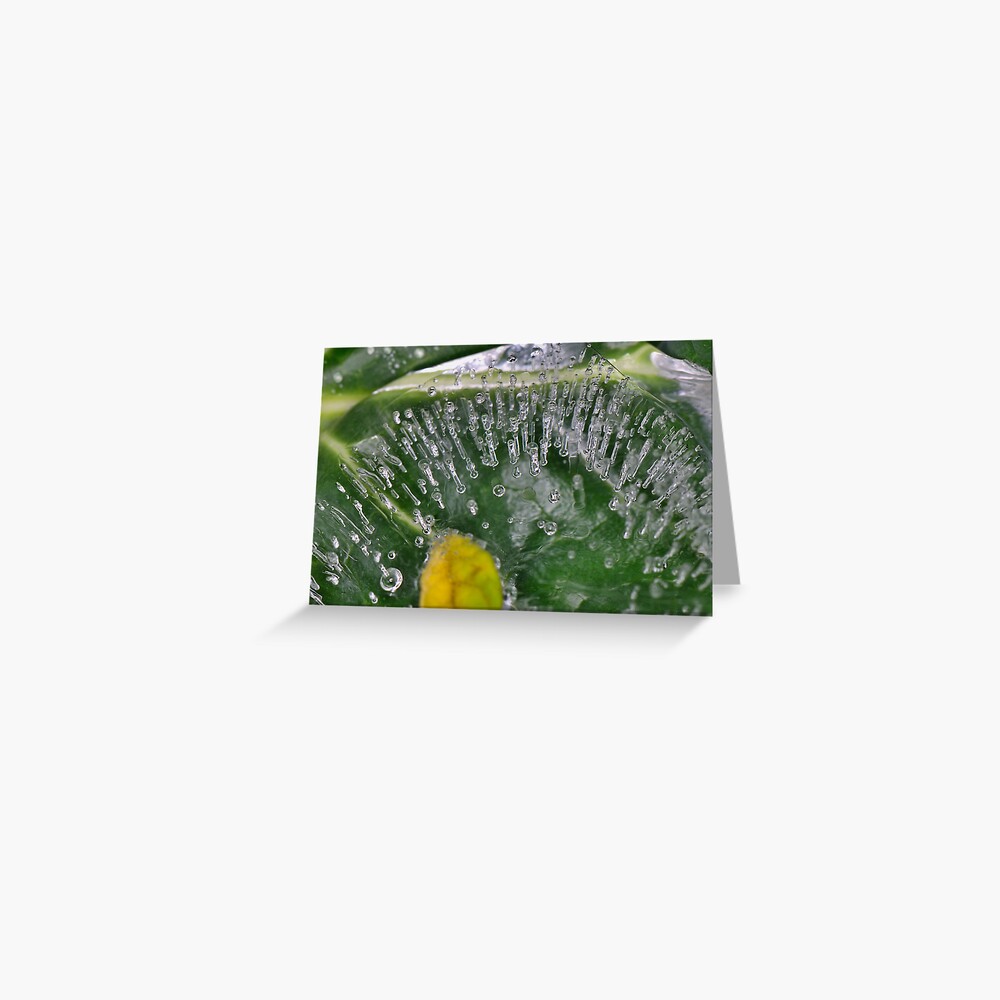 Item preview, Greeting Card designed and sold by pauleden.