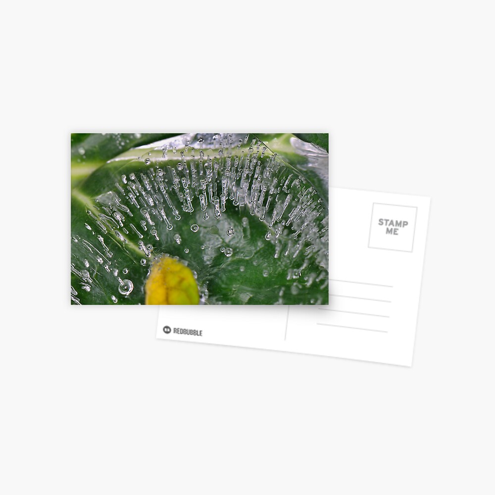Item preview, Postcard designed and sold by pauleden.