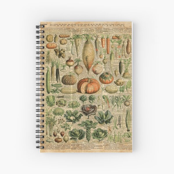 Item preview, Autumn Fall Vegetables Vegetarian Vegan Thanksgiving Dictionary Organic Art Vintage Cottage Chic designed and sold by DictionaryArt.