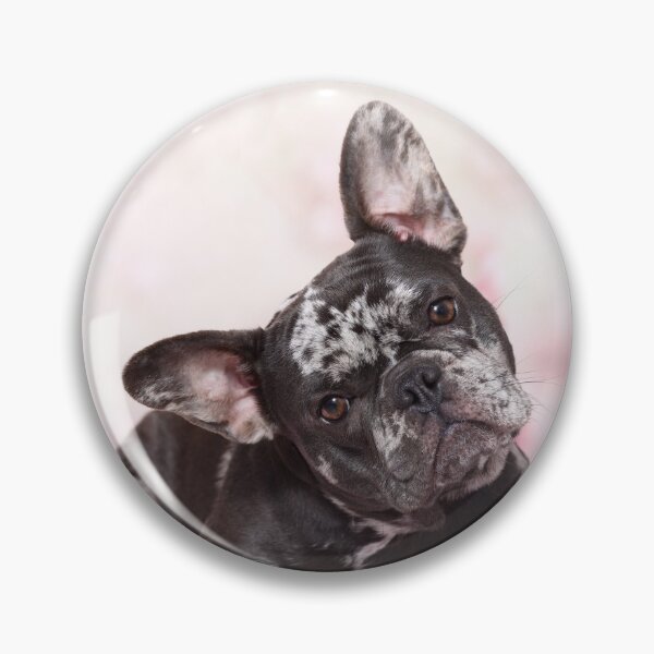 Item preview, French bulldog Blue Merle designed and sold by JeanettesPets.