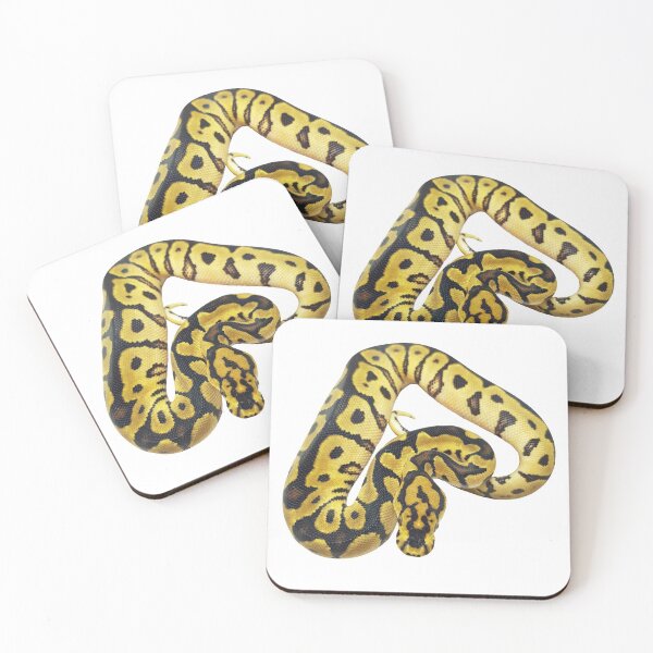 Item preview, Ball python morph sticker - Spotnose Clown designed and sold by BDesignerMorphs.