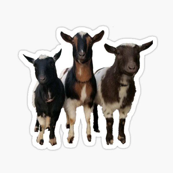 Item preview, Goats designed and sold by agalaria.