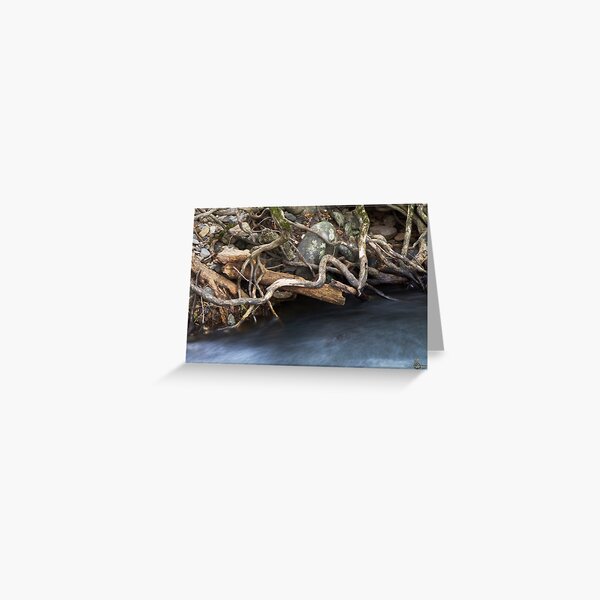 Mulgrave River Bank Greeting Card