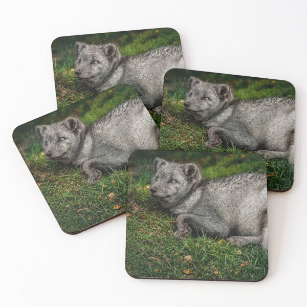 Item preview, Arctic Fox 2 designed and sold by StephanieKnotts.