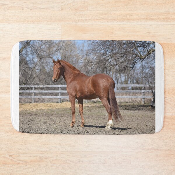 Item preview, Ridley designed and sold by theartsyeq.