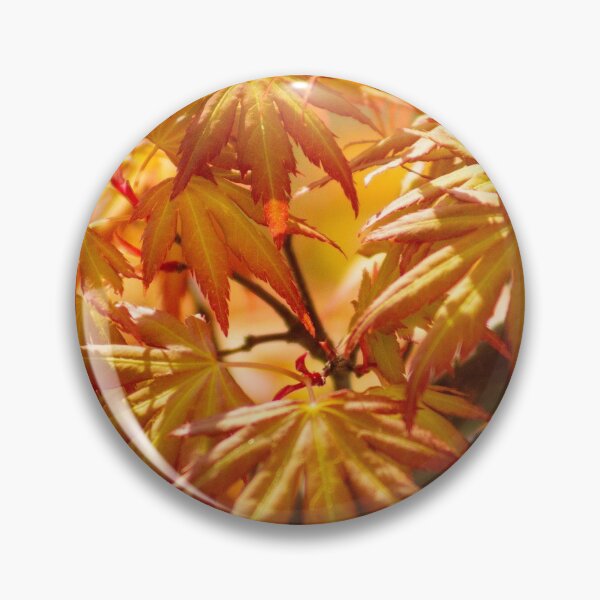 Artikelvorschau, Acer Tree entworfen und verkauft von ellenmpics.