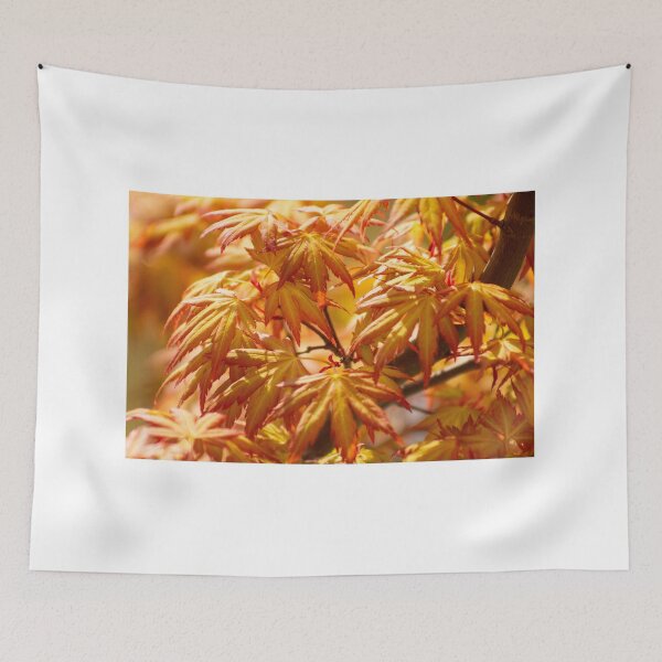 Item preview, Acer Tree designed and sold by ellenmpics.